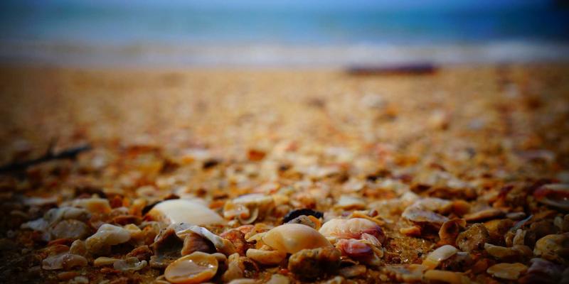 医用材料革新：神经扣信号传输稳定性与抗干扰技术的最新进展