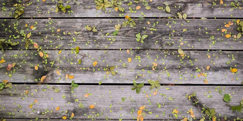 基于神经扣的实时迷走神经张力监测：心力衰竭管理的新一代康复与护理方案