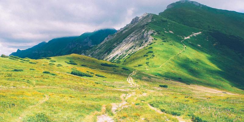柔性神经扣：材料力学匹配与长期生物相容性如何革新康复医疗器械