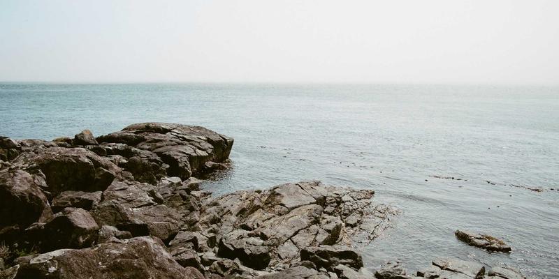 神经扣31：重新定义康复用品与健康护理的智能医疗耗材