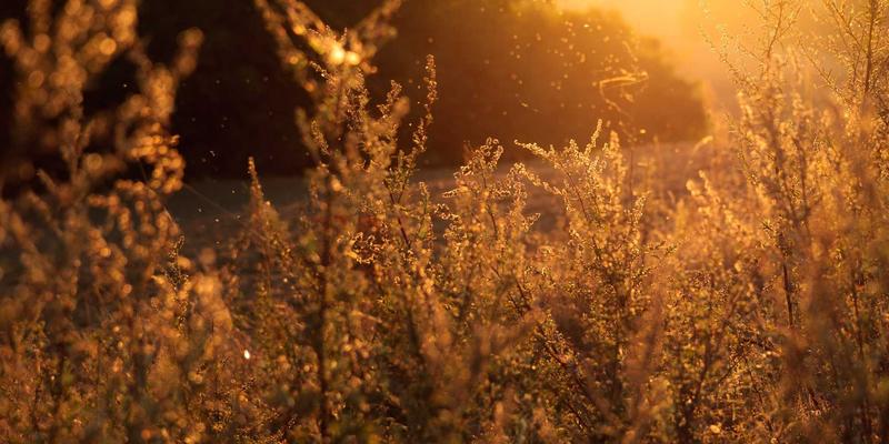 神经扣84：革新医疗耗材与康复用品领域的智能健康产品