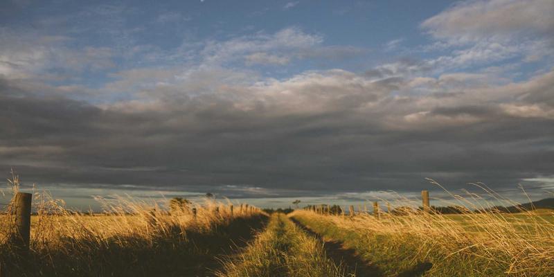 神经扣92：重新定义医疗耗材与健康护理的智能边界