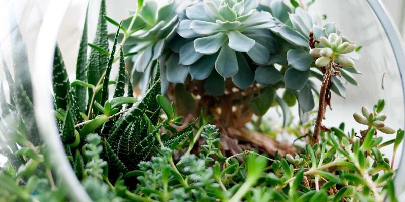 神经扣与AI融合：新一代自适应脑机接口如何重塑医疗器械与康复用品未来