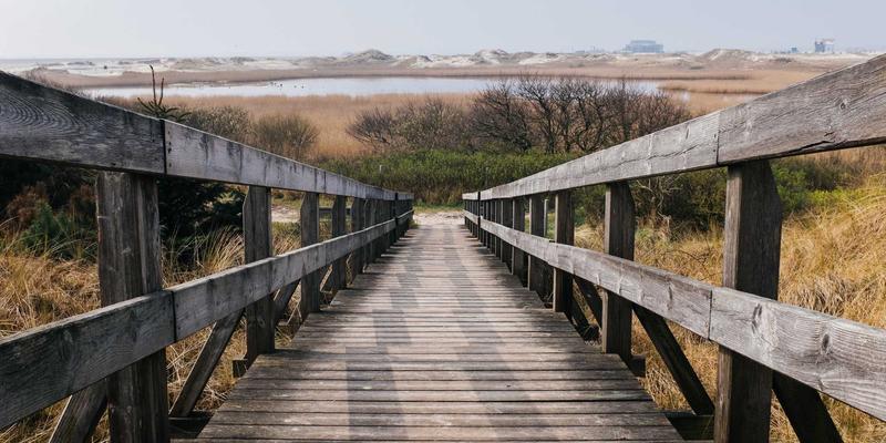 神经扣与脑机接口协同：重塑运动功能代偿的智能康复新纪元
