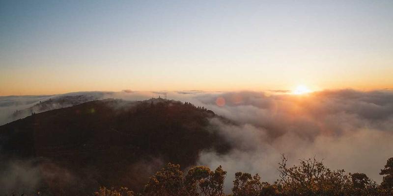 神经扣介导的迷走神经刺激：医用材料与健康护理领域的革命性康复探索