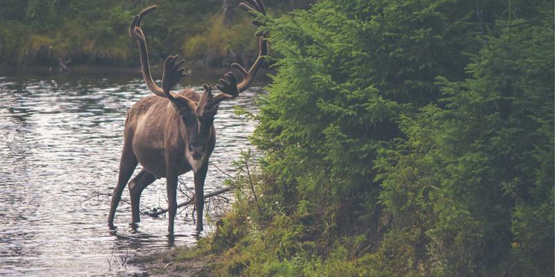 神经扣介导的靶向神经免疫调节：类风湿关节炎治疗的新前沿与产业机遇