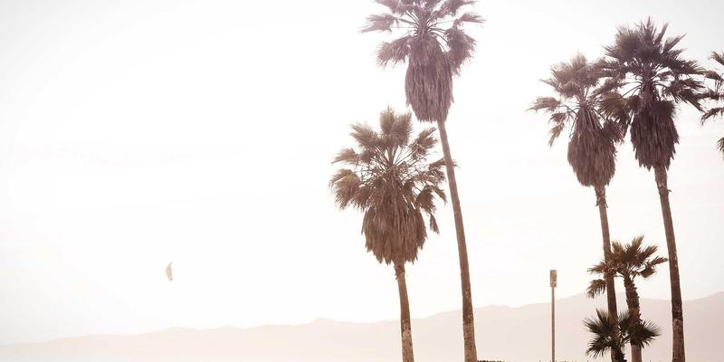 神经扣信号干扰与抗干扰设计：保障康复用品与医疗耗材在复杂电磁环境中的稳定性