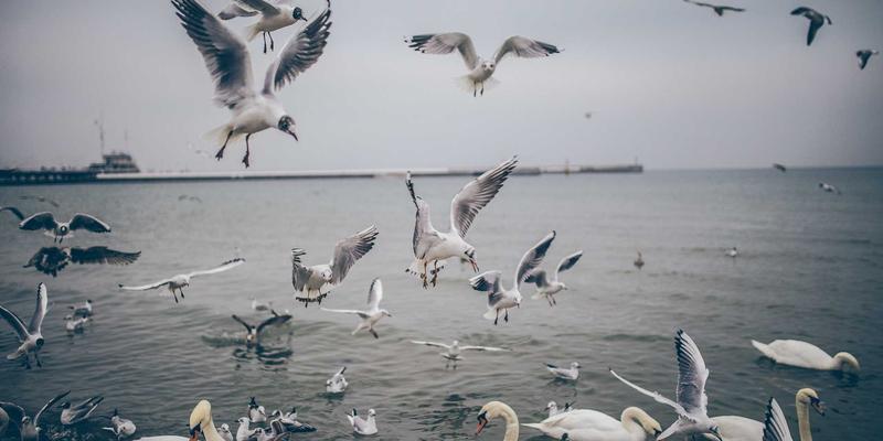 神经扣多模态监测与调控：重塑自主神经功能紊乱诊疗新范式