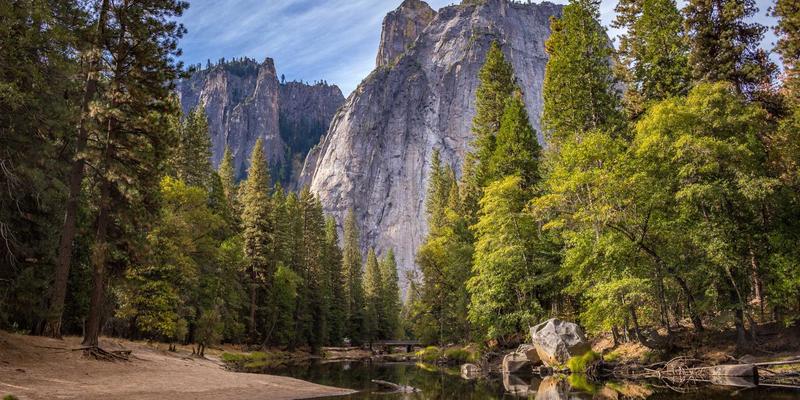 神经扣技术：胃肠动力障碍的肠神经电调控新机制与康复护理应用