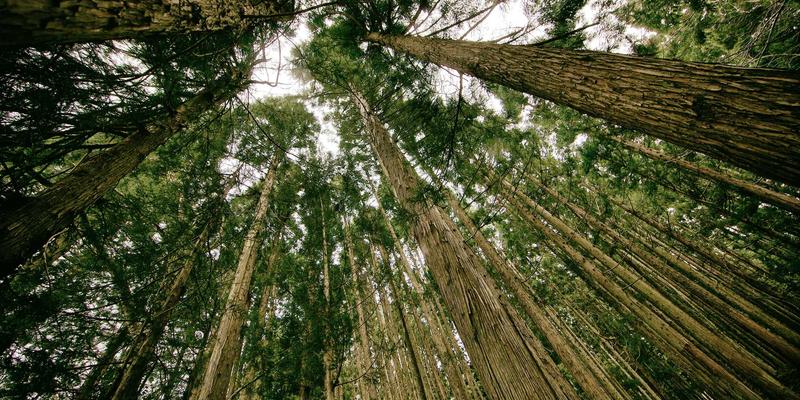 神经扣技术：重塑医疗耗材新边界，为帕金森病等神经系统疾病带来革命性健康产品