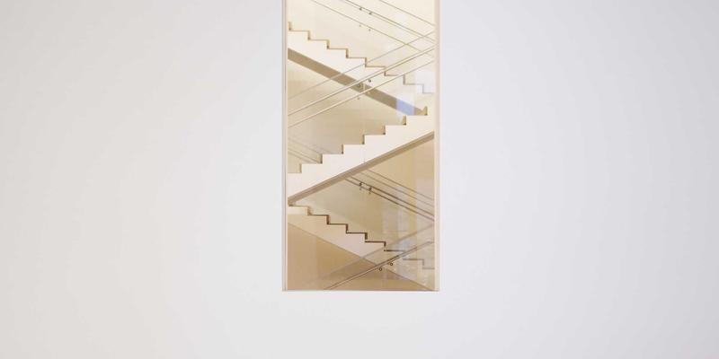 神经扣技术：重塑胃动力神经调控的肥胖症治疗新策略