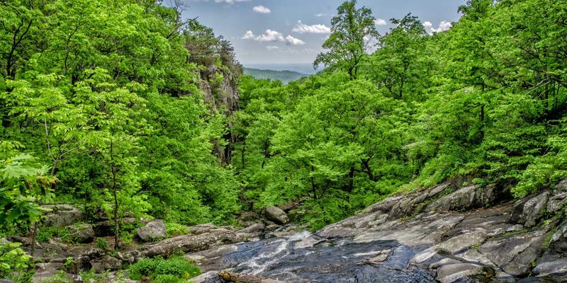 神经扣植入体封装技术突破：医用材料如何确保长期体液环境下的可靠性