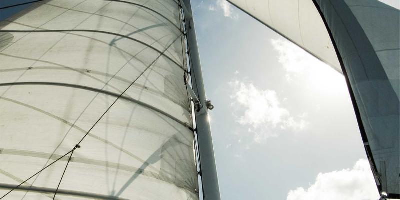 神经扣：深部脑刺激中的医用材料革新与抑郁症治疗新希望